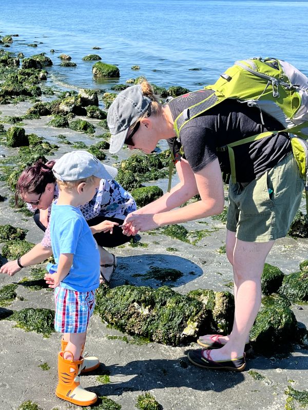 Tidepooling