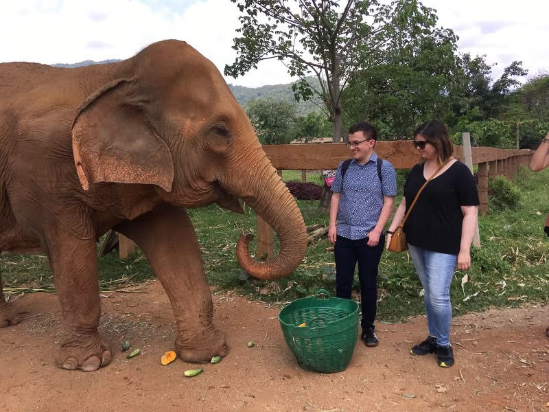 At an Elephant Preserve in Thailand