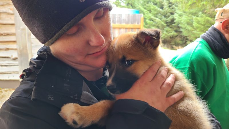 Amada With a Sled Dog Puppy in Alaska