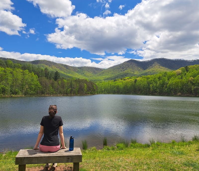 Enjoying a Lake View