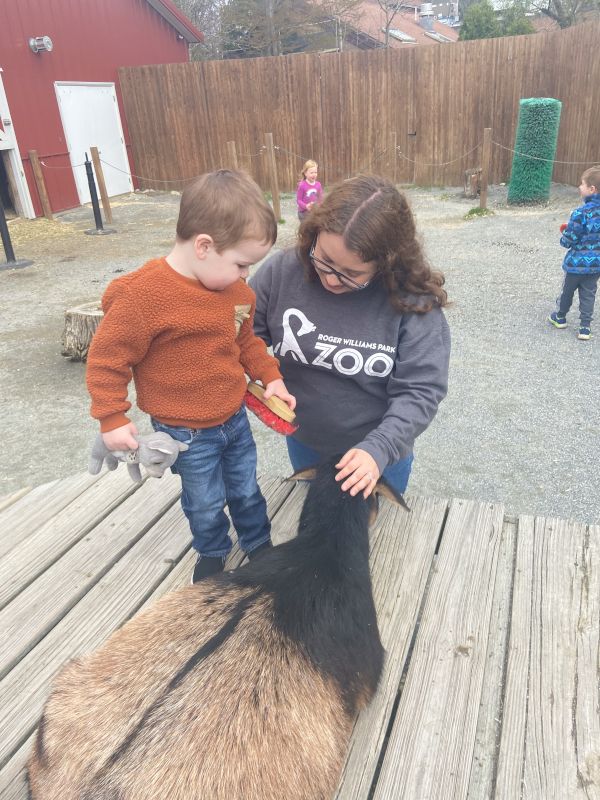 Petting Goats with Our Nephew Conor