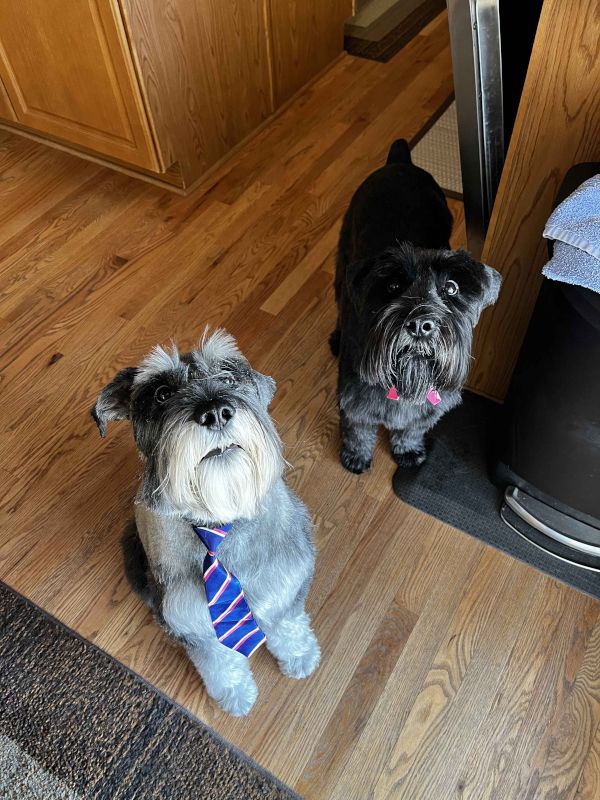 Hamish and Islay All Dressed Up 