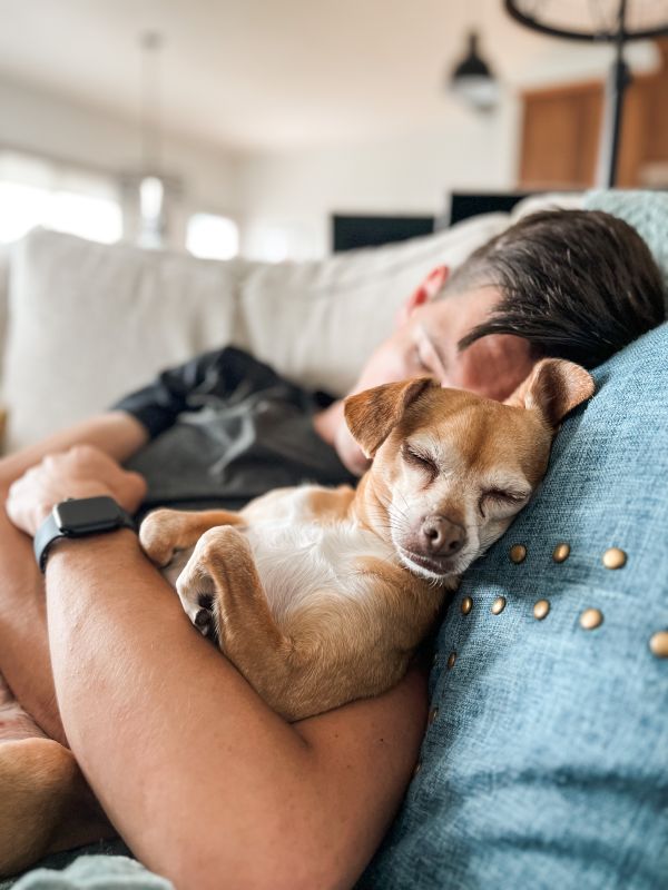 If It's Saturday, There's a Good Chance You Can Find Joe & Ginny Taking a Nap on the Couch