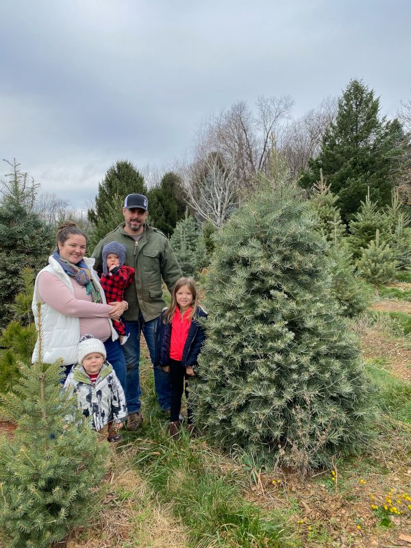 Annual Christmas Tree Cutting