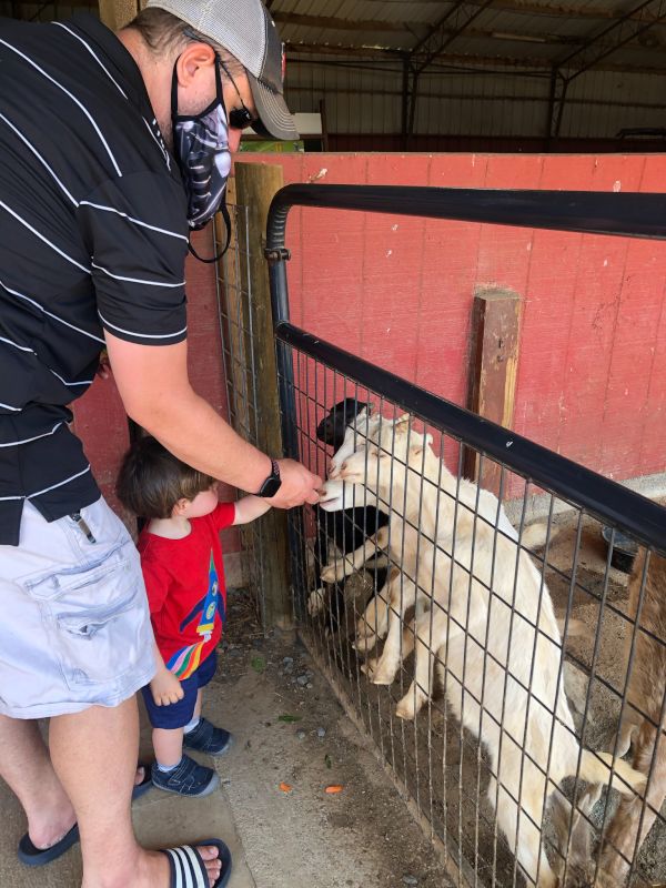 At a Petting Zoo